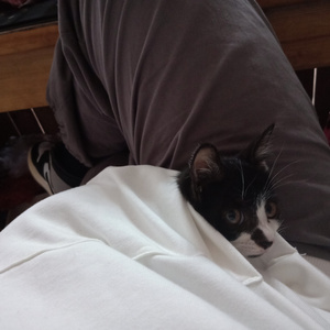 李宗瑞1313在线观看
